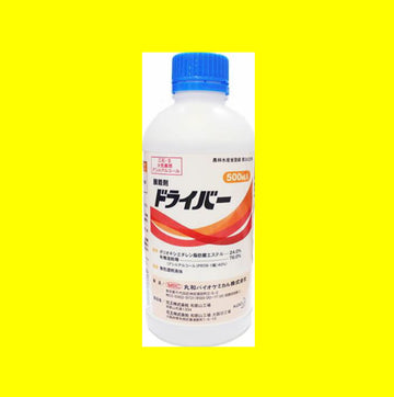 �h���C�o�[�@500�����y16,000�~(�ō�)�ȏ㑗�������z�ꕔ�n�揜��