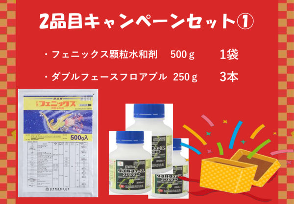 2品目キャンペーンセット①（通常価格より500円お得！）